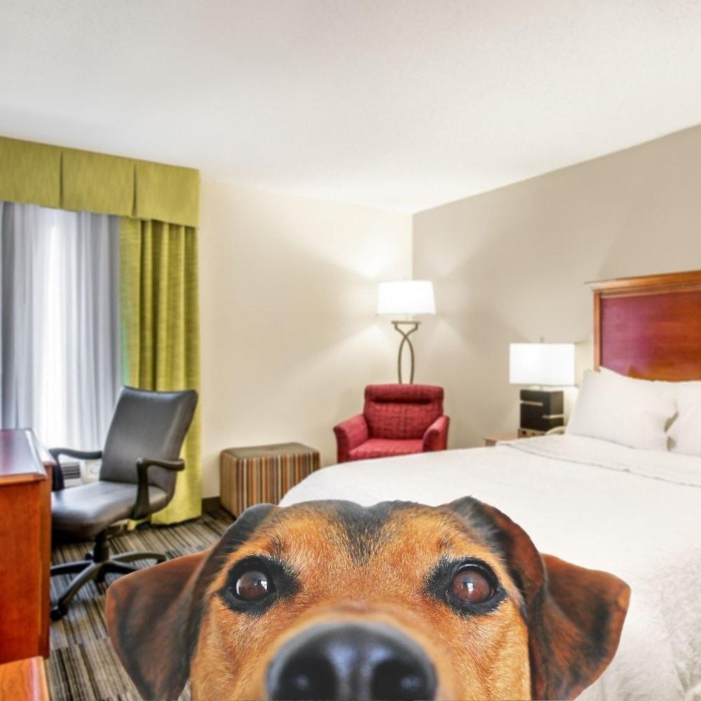 Hampton Inn Bowling Green Ky Bagian luar foto